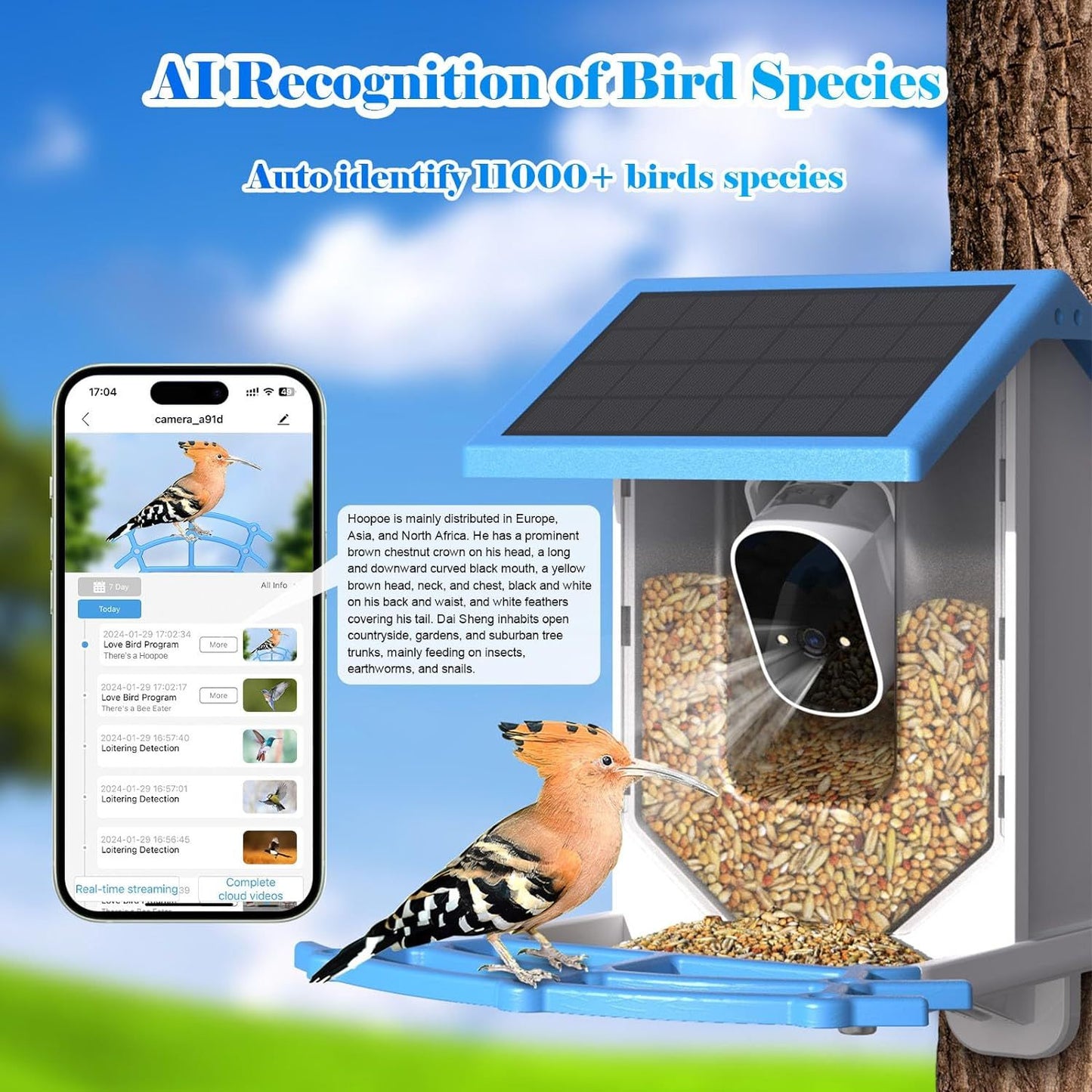 AI Enhanced Smart Bird Feeder with Solar Power