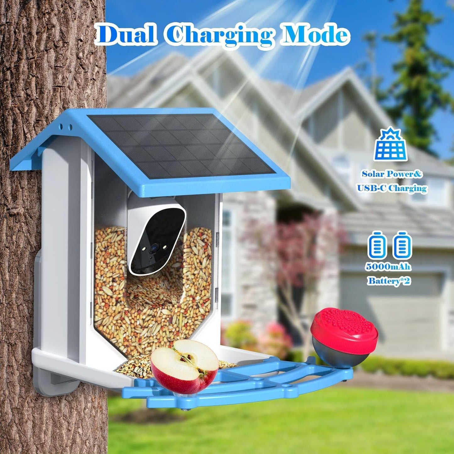 AI Enhanced Smart Bird Feeder with Solar Power