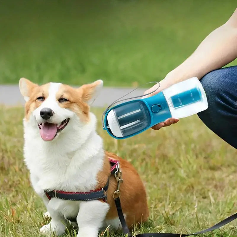 Three-in-one Doggy Cup