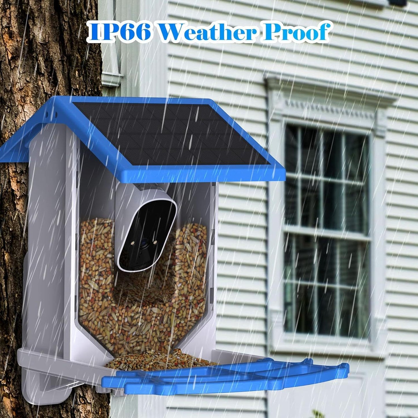 AI Enhanced Smart Bird Feeder with Solar Power