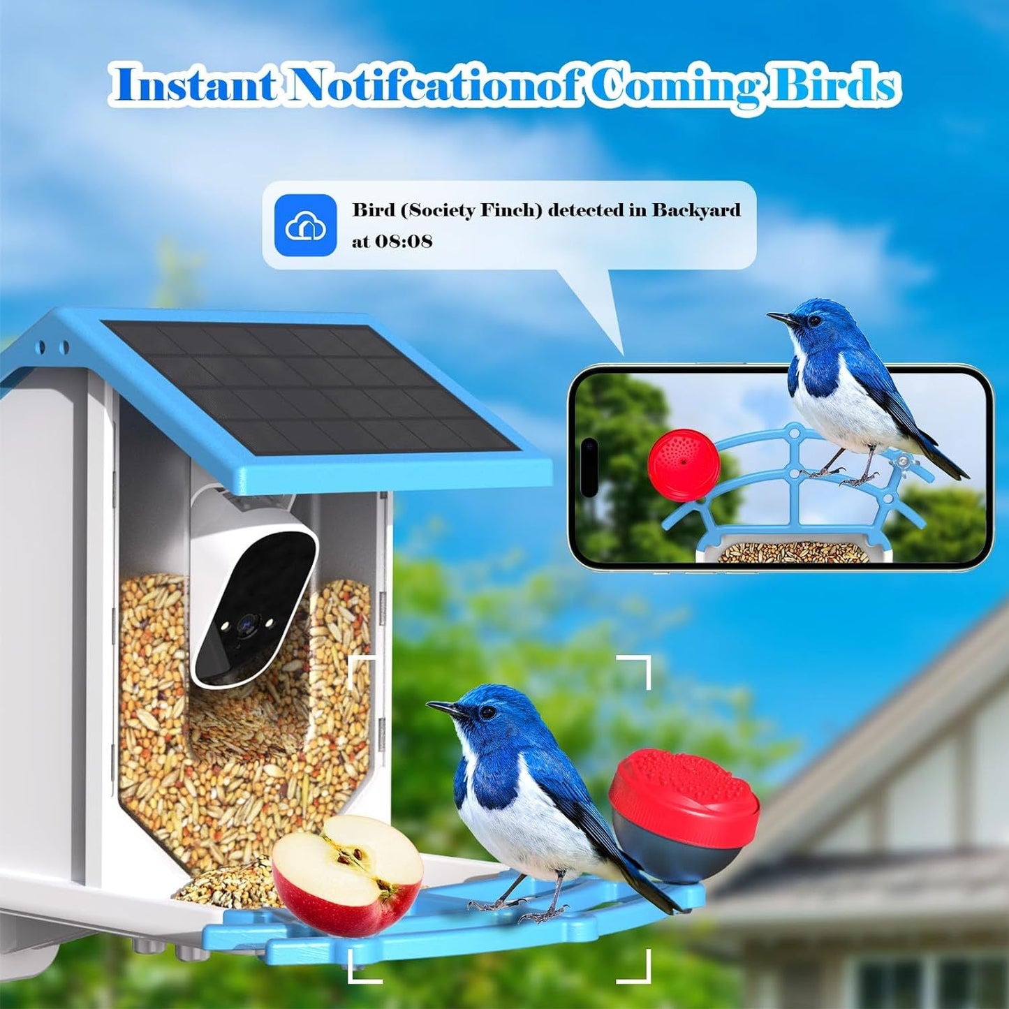 AI Enhanced Smart Bird Feeder with Solar Power